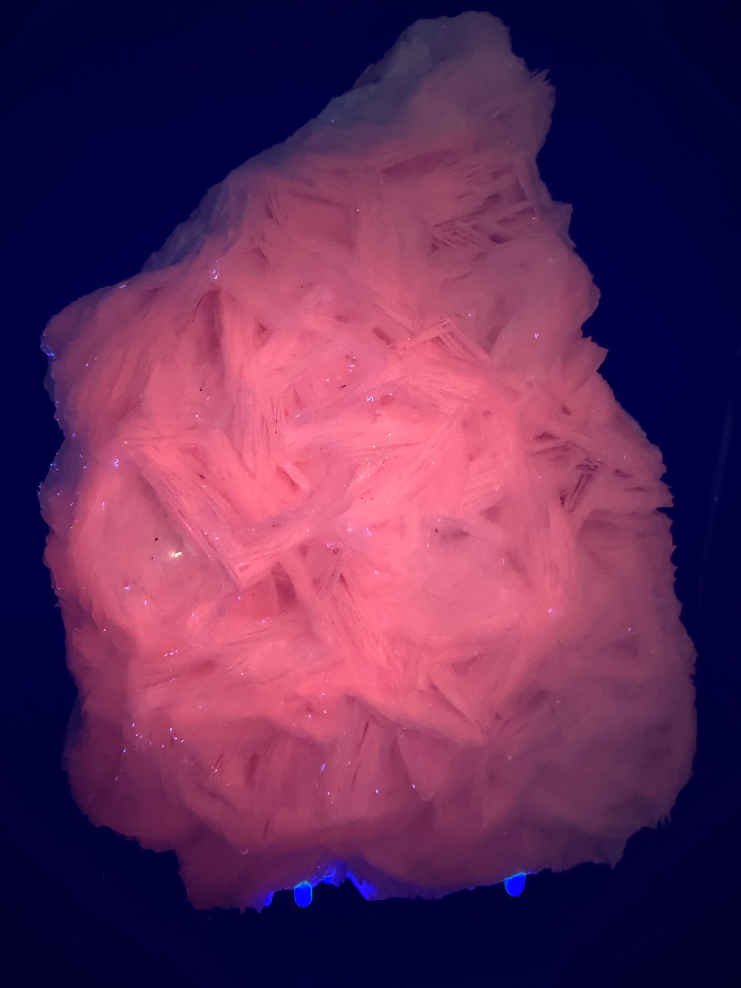 White Rose Bladed Calcite. Extra Large Angel Wing Calcite Specimen. High Quality UV Statement Piece.