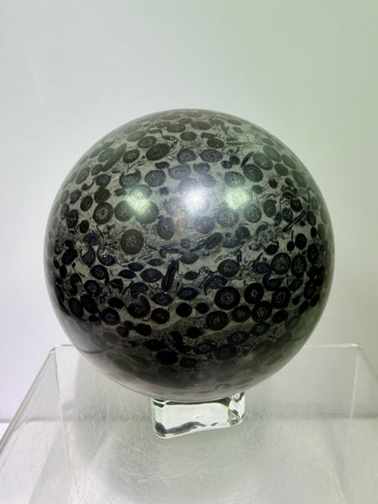 Leopardskin Jasper Sphere. 79mm. Gorgeous And Realistic Leopard Cheetah Patterns. Very Pretty Display Crystal