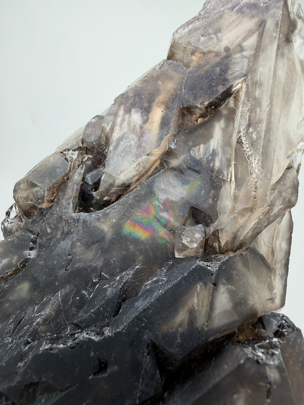 Elestial Quartz Specimen. High Quality Smoky Quartz Cluster. Amazing Colors, Excellent Windows, And Gorgeous Rainbows!