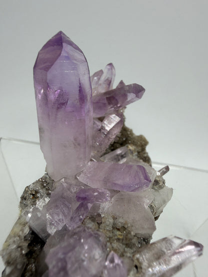 Veracruz Amethyst Display Cluster. Gorgeous Deep Purple High Quality Specimen. World Famous Rare Amethyst