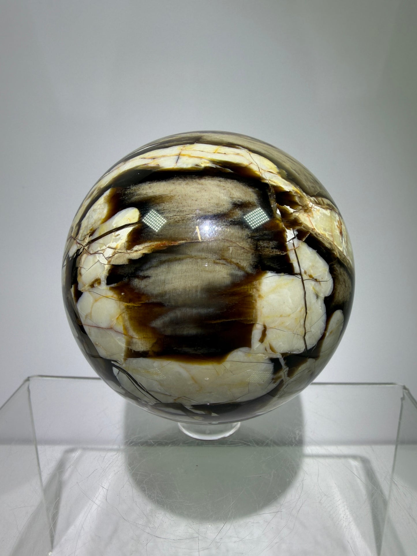 Peanut Wood Sphere. 67mm. Extremely Rare Australian Peanut Wood. Incredible Petrified Wood Display Sphere