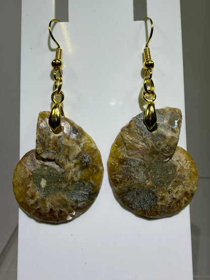 Ammonite Crystal Earrings. Amazing One Of A Kind Jewelry. High Quality Ammonite Pair