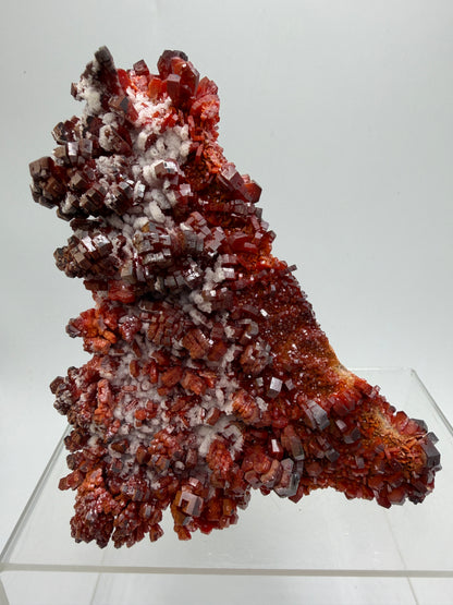 Vanadinite Crystal Specimen. Large High Quality Crystal Cluster. Gorgeous Mineral Specimen From Morocco
