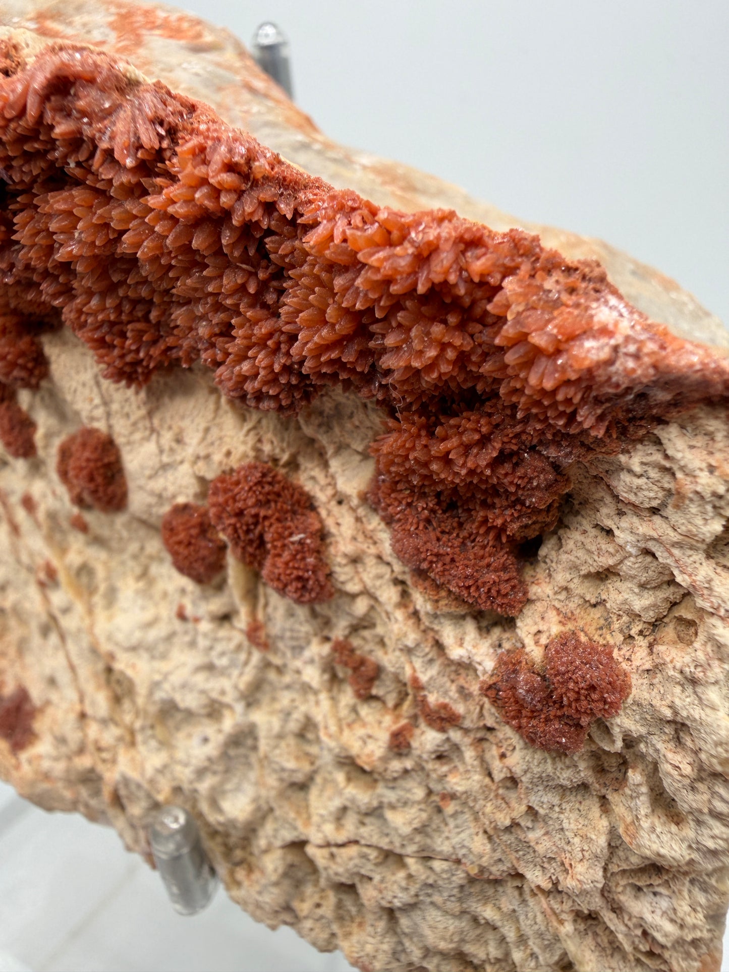 Orange Red Dogtooth Calcite Specimen. Stunning Dogtooth Flower Clusters. High Quality Rare Specimen