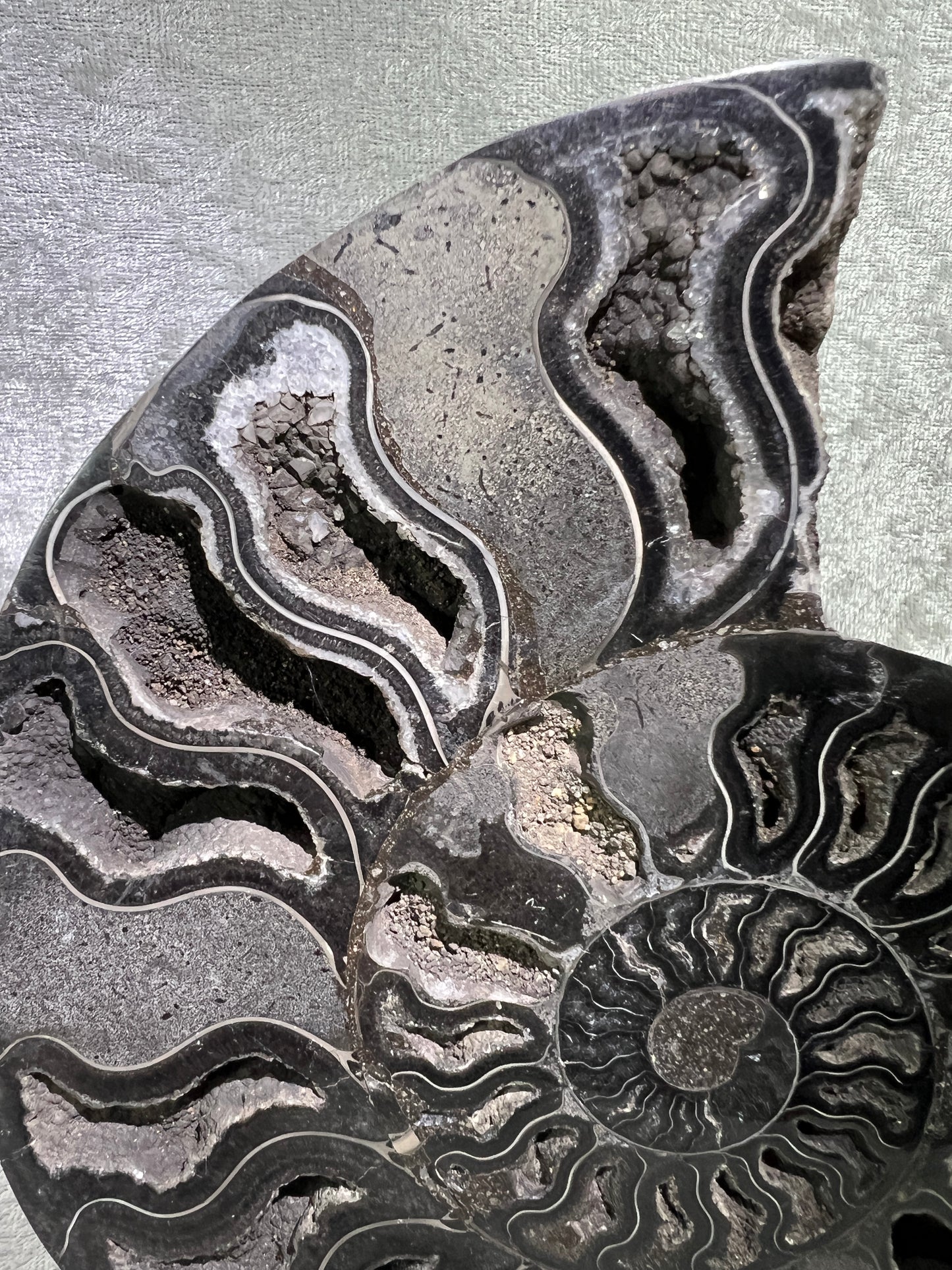 Black Ammonite Display Pair. Extra Large Rare Fossil Specimen From Madagascar. Split And Polished With Amazing Druzy.