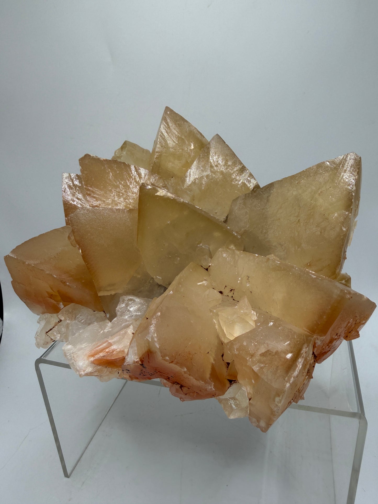 Mariposa Butterfly Calcite Cluster. Large Beautiful Calcite From Mexico. Fantastic High Quality Mineral Specimen