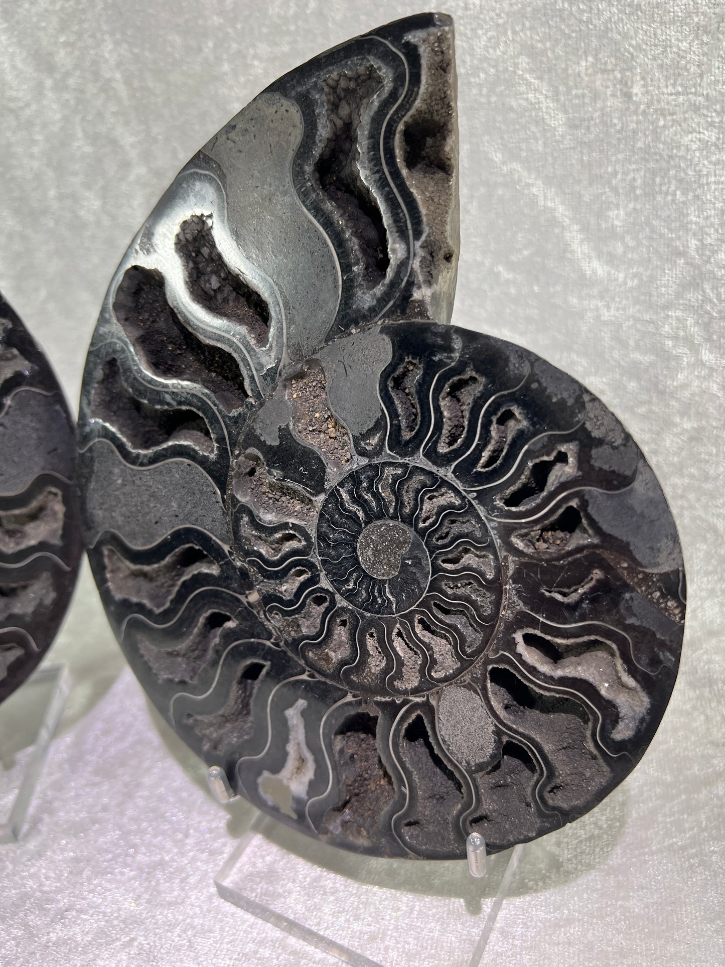 Black Ammonite Display Pair. Extra Large Rare Fossil Specimen From Madagascar. Split And Polished With Amazing Druzy.