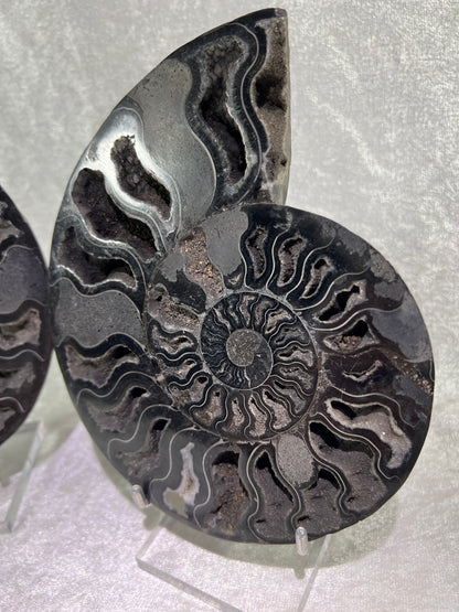 Black Ammonite Display Pair. Extra Large Rare Fossil Specimen From Madagascar. Split And Polished With Amazing Druzy.