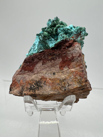 Chrysocolla And Malachite Specimen. High Quality Druzy Chrysocolla From Likasi, Congo. Gorgeous Color Display Crystal.