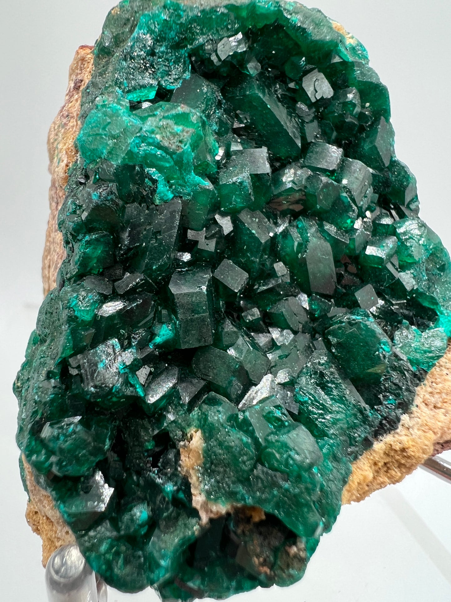 Dioptase Crystal Specimen. High Quality Flashy Mineral From The Congo. Gorgeous Colors And Cubes.