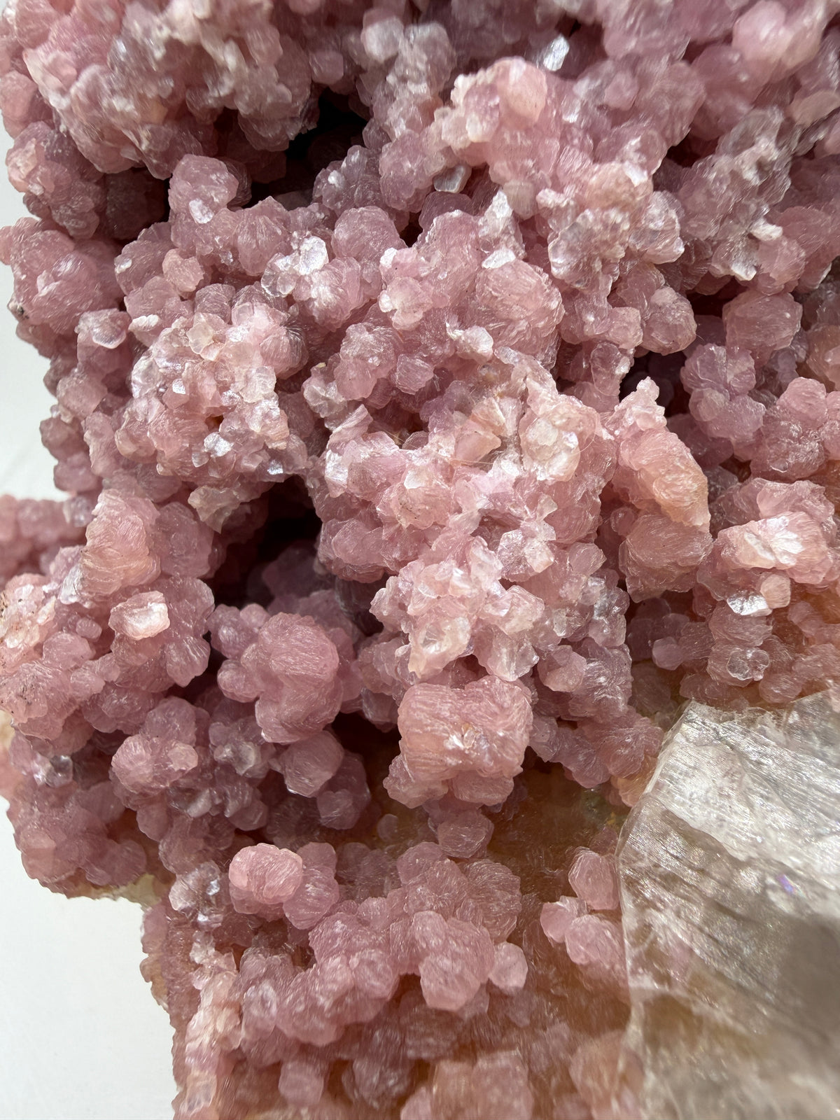 Pink Botryoidal Lepidolite And Tourmaline On A Citrine Matrix. Very Rare High Quality Specimen From Brazil. Gorgeous Large Pink Grape Agate