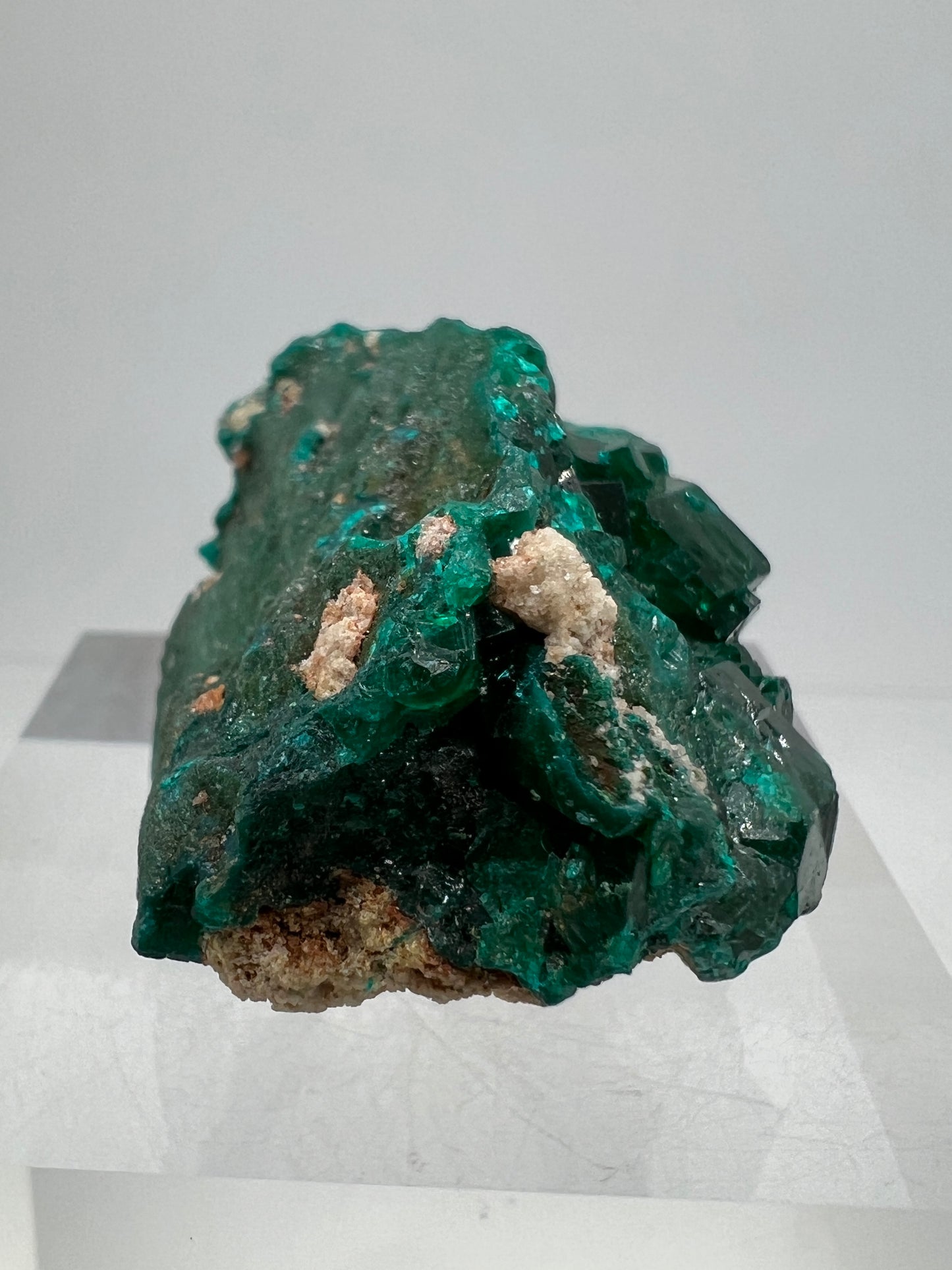 Dioptase Crystal Specimen. Gorgeous Rare Mineral From The Congo. High Quality Display Crystal