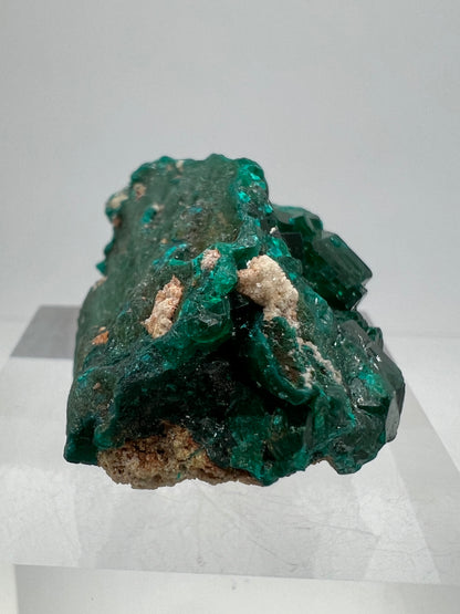 Dioptase Crystal Specimen. Gorgeous Rare Mineral From The Congo. High Quality Display Crystal