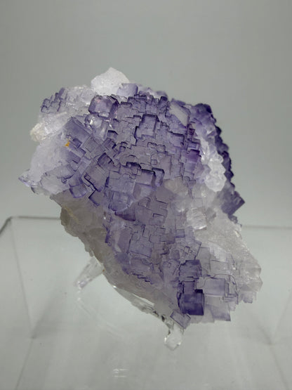 Muzquiz Purple Fluorite Specimen. Rare Mexican Fluorite Specimen. Gorgeous Collectible Display Crystal