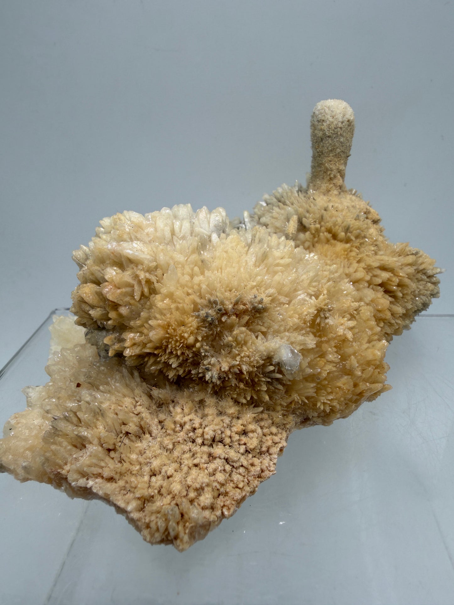 Dogtooth Calcite And Stalagmite Specimen. Stunning Flower Clusters. High Quality Rare Specimen.