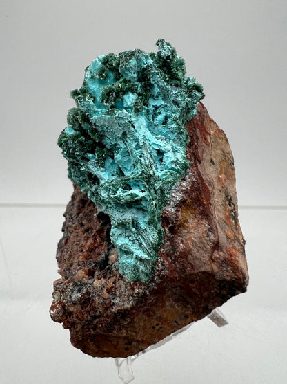 Chrysocolla And Malachite Specimen. High Quality Druzy Chrysocolla From Likasi, Congo. Gorgeous Color Display Crystal.