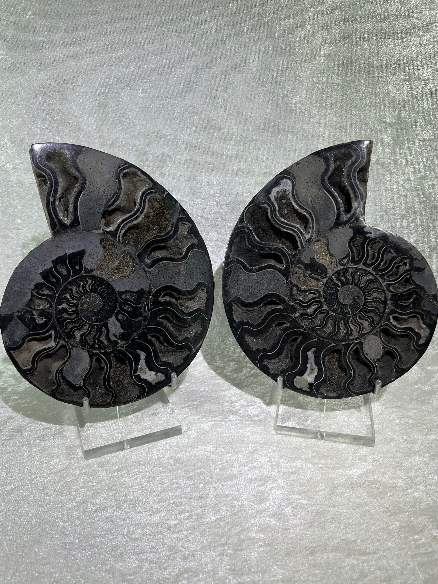 Black Ammonite Display Pair. Extra Large Rare Fossil Specimen From Madagascar. Split And Polished With Amazing Druzy.