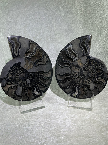 Black Ammonite Display Pair. Extra Large Rare Fossil Specimen From Madagascar. Split And Polished With Amazing Druzy.