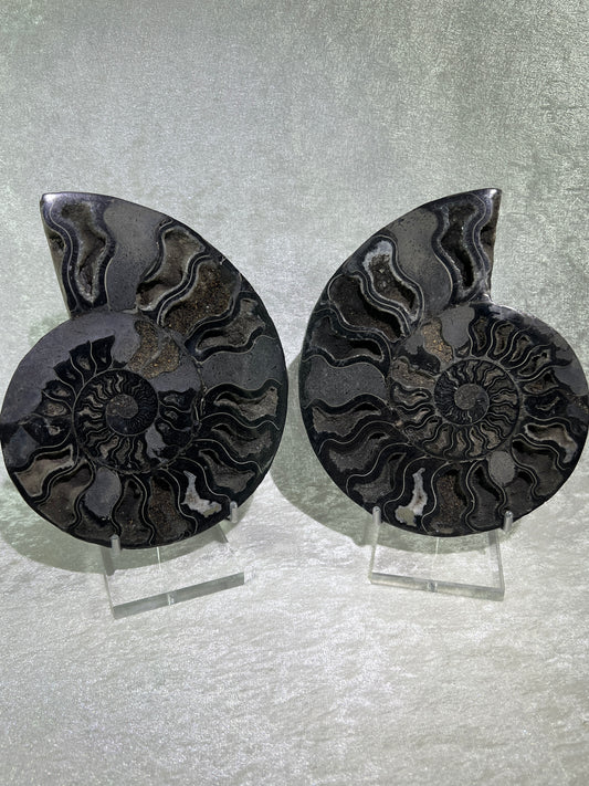 Black Ammonite Display Pair. Extra Large Rare Fossil Specimen From Madagascar. Split And Polished With Amazing Druzy.