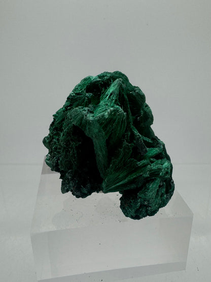 Malachite Display Specimen. Silky Malachite Cluster. High Quality Velvet Malachite From The Congo