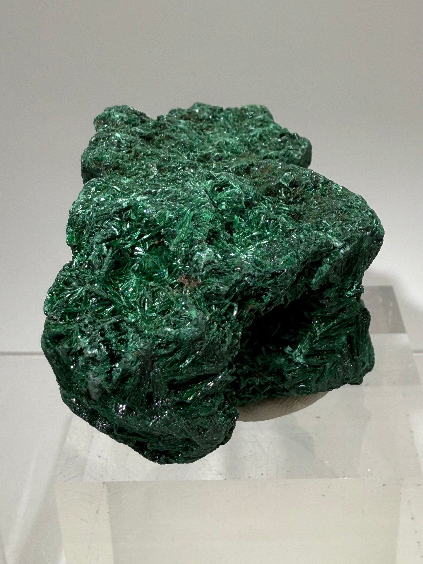Malachite Display Specimen. Silky Malachite Cluster. High Quality Velvet Malachite From The Congo