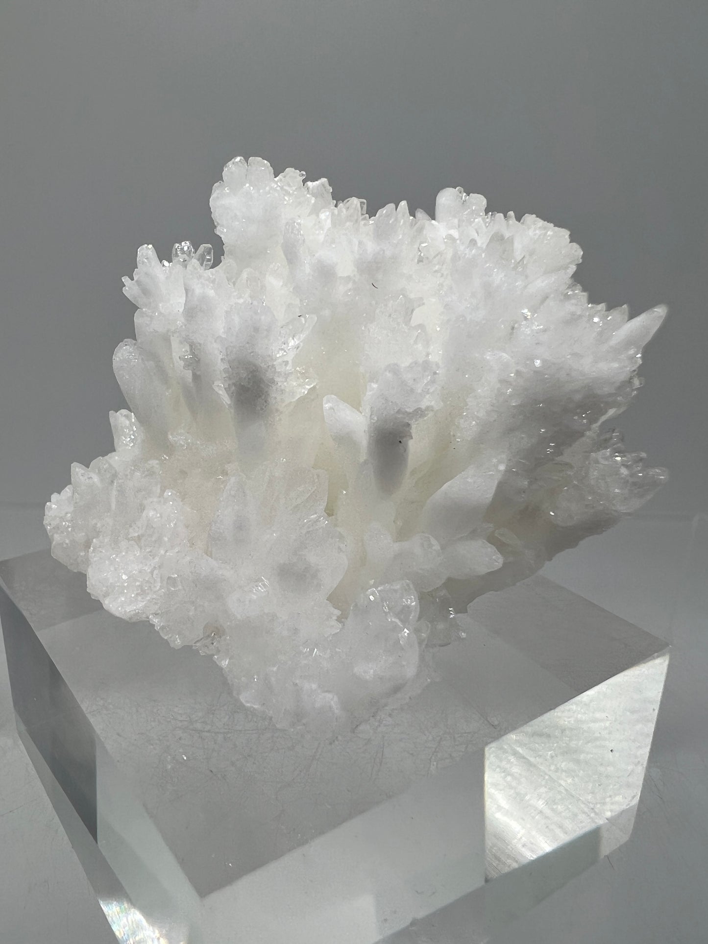 White Aragonite Crystal Specimen. Amazing Cave Calcite From Mexico.