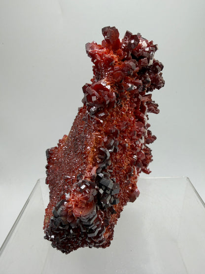 Vanadinite Crystal Specimen. Large High Quality Crystal Cluster. Gorgeous Mineral Specimen From Morocco