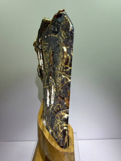 Botryoidal Black Jasper Specimen. Very Rare Geode From Brazil. High Quality Crystal With Custom Stand