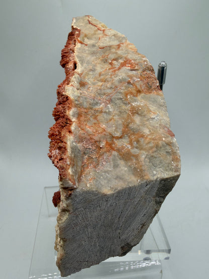Orange Red Dogtooth Calcite Specimen. Stunning Dogtooth Flower Clusters. High Quality Rare Specimen