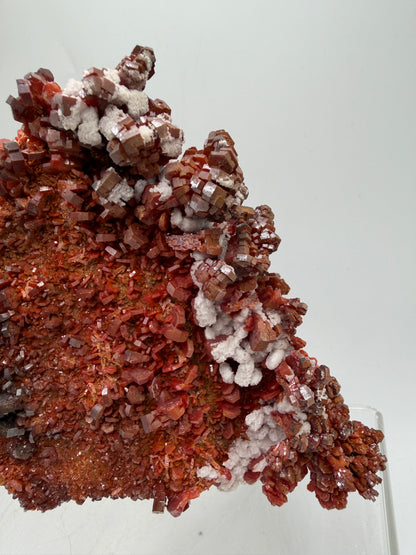 Vanadinite Crystal Specimen. Large High Quality Crystal Cluster. Gorgeous Mineral Specimen From Morocco