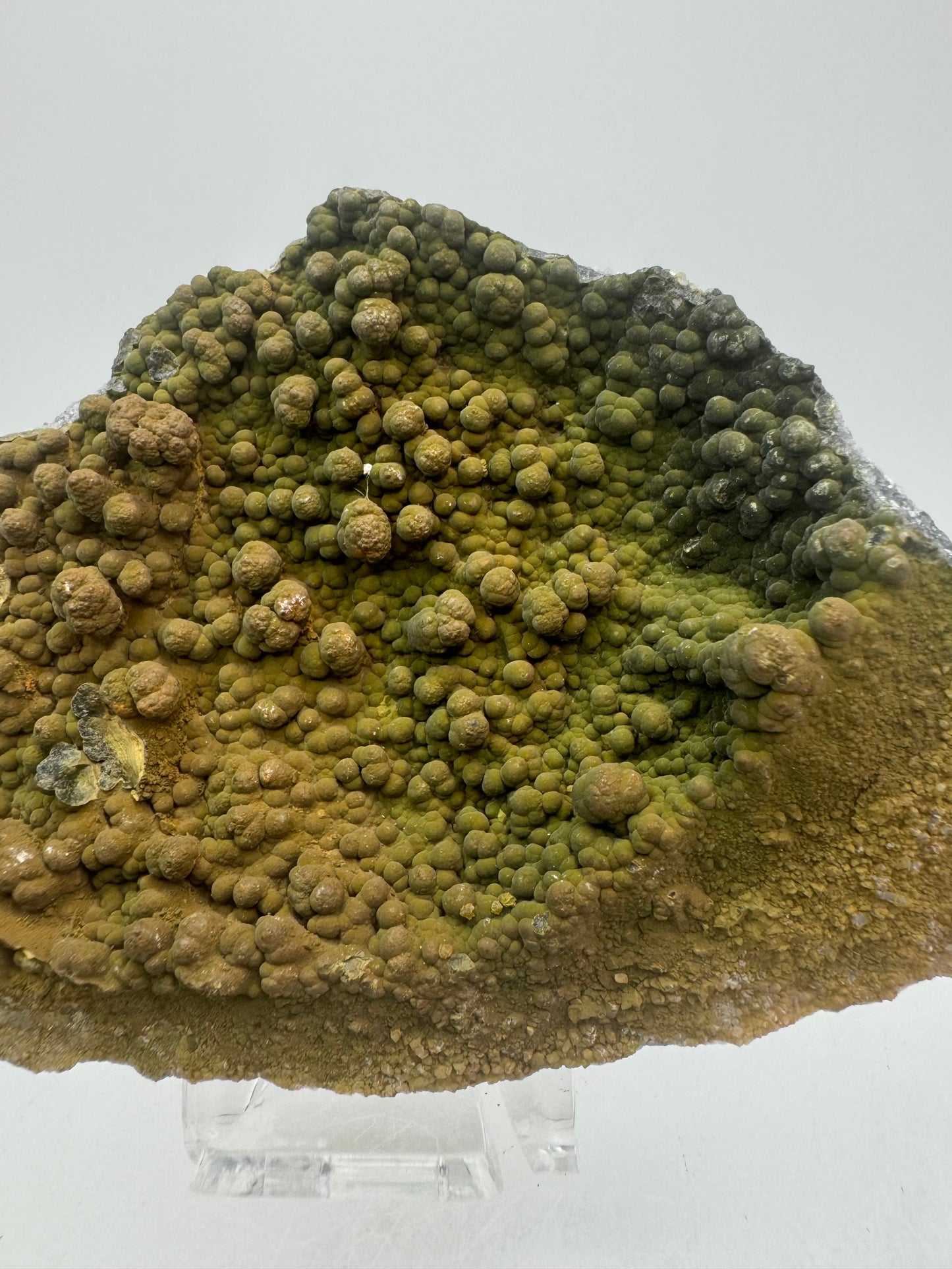 Mottramite Crystal Specimen. From The Famous 2011 Mexico Discovery. Top Quality Mineral Specimen. Very Rare Must Have For Any Collector.