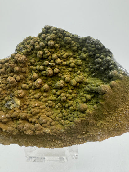 Mottramite Crystal Specimen. From The Famous 2011 Mexico Discovery. Top Quality Mineral Specimen. Very Rare Must Have For Any Collector.