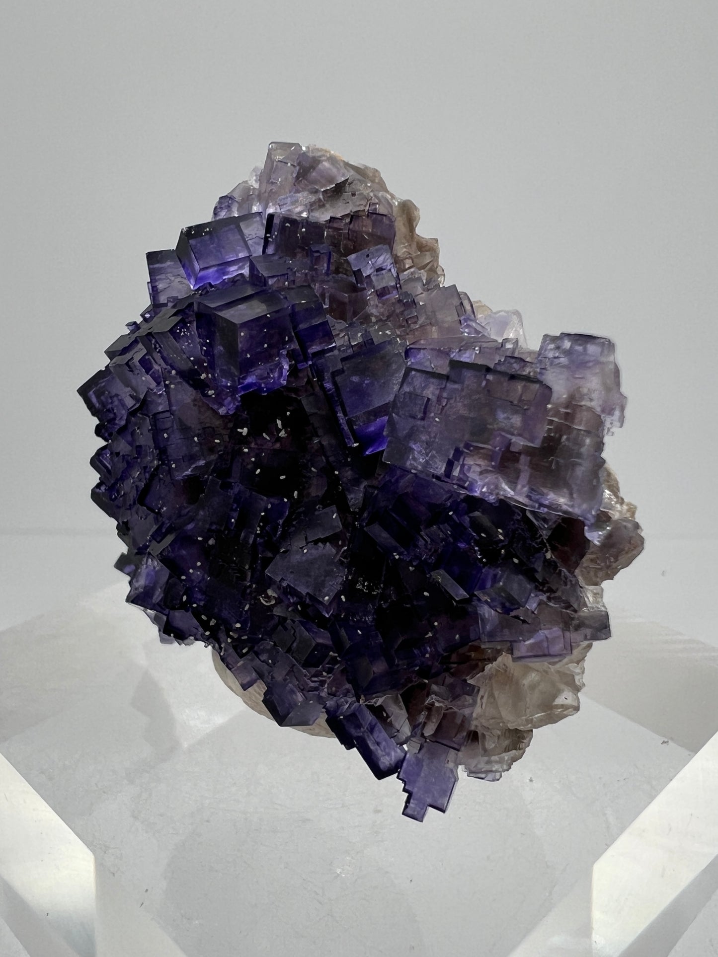 Muzquiz Purple Fluorite Specimen. High Quality Mexican Fluorite Specimen. Gorgeous Collectible Display Crystal
