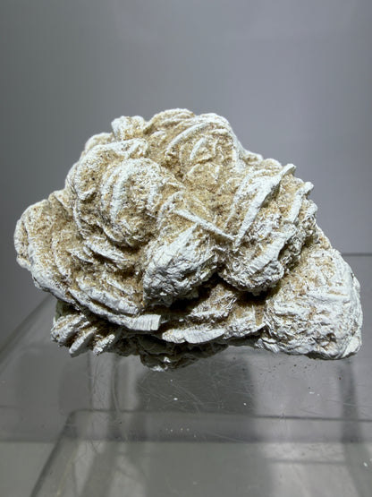 Selenite Desert Rose Specimen. Very Unique Gypsum Cluster.