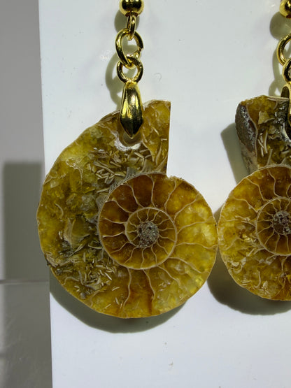 Ammonite Crystal Earrings. Amazing One Of A Kind Jewelry. High Quality Ammonite Pair