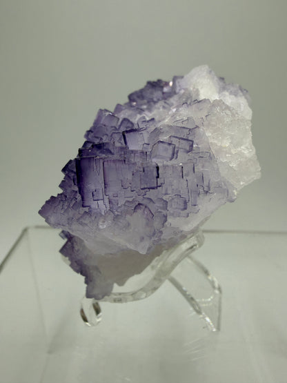 Muzquiz Purple Fluorite Specimen. Rare Mexican Fluorite Specimen. Gorgeous Collectible Display Crystal