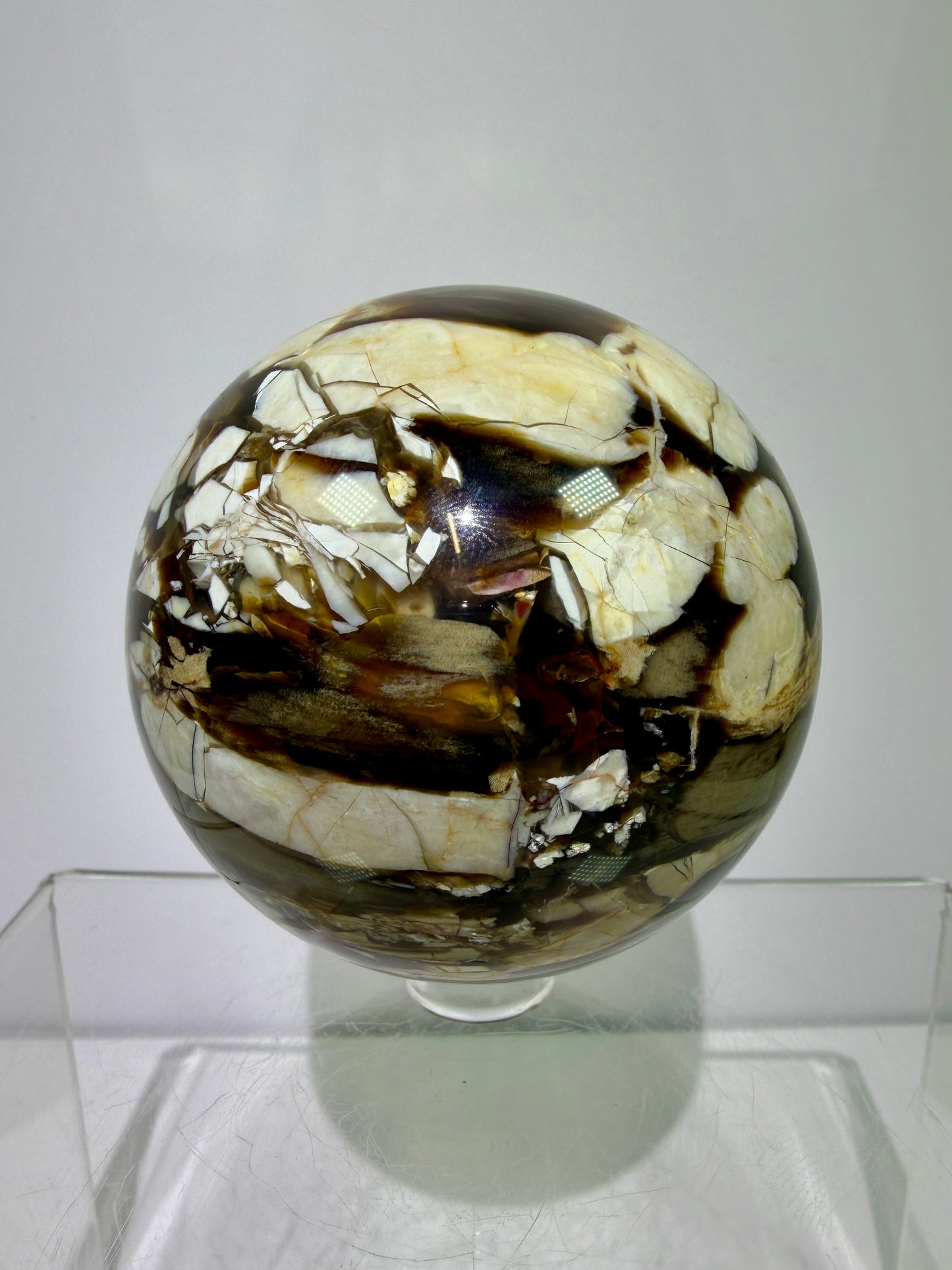 Peanut Wood Sphere. 67mm. Extremely Rare Australian Peanut Wood. Incredible Petrified Wood Display Sphere