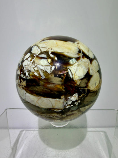 Peanut Wood Sphere. 67mm. Extremely Rare Australian Peanut Wood. Incredible Petrified Wood Display Sphere