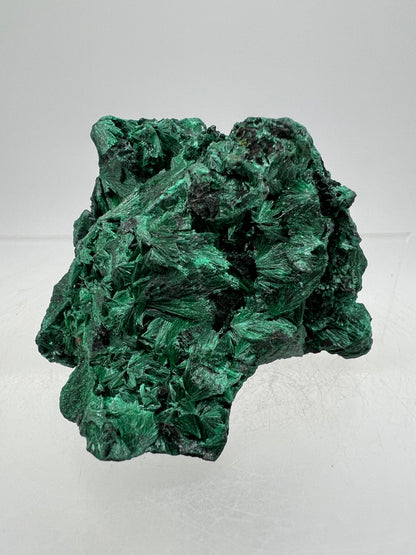 Malachite Display Specimen. Silky Malachite Cluster. High Quality Velvet Malachite From The Congo