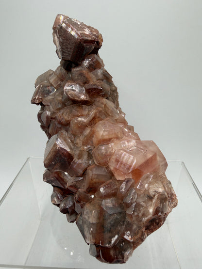 Chocolate Calcite Specimen. Very High Quality Cubic Hematite Calcite Cluster. Stunning Crystal Display Specimen
