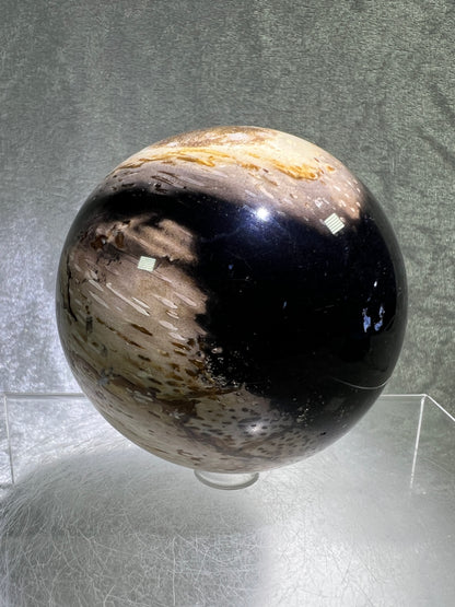 Palm Root Agate Sphere. 77mm. Gorgeous Fossilized Black Palm Root Agate. Very High Quality Crystal Sphere.