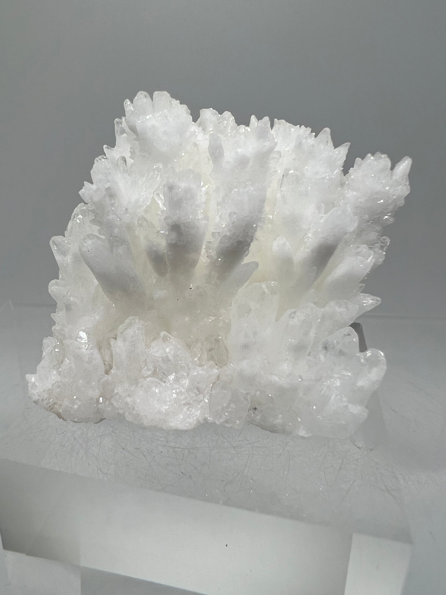 White Aragonite Crystal Specimen. Amazing Cave Calcite From Mexico.