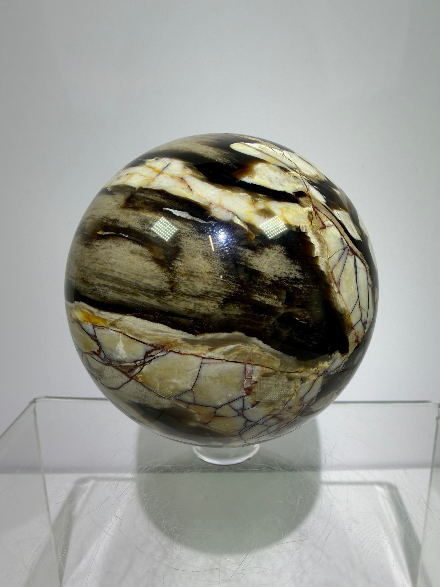 Peanut Wood Sphere. 67mm. Extremely Rare Australian Peanut Wood. Incredible Petrified Wood Display Sphere