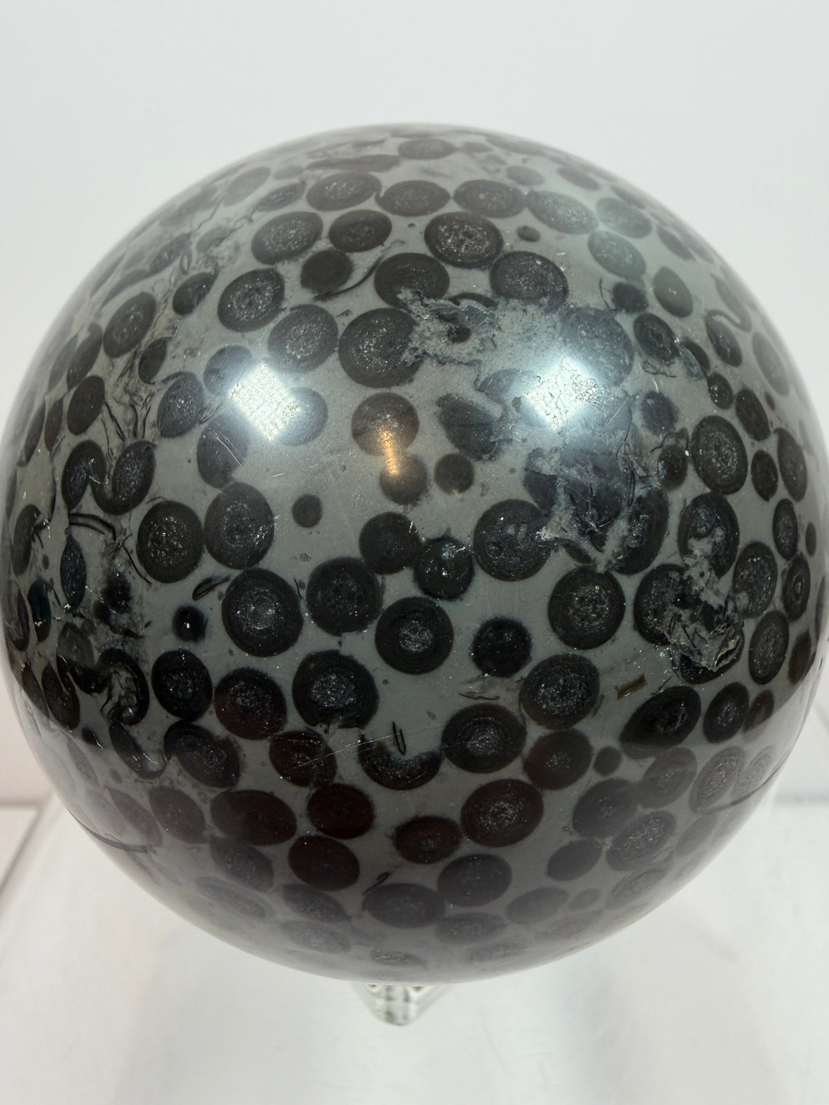 Leopardskin Jasper Sphere. 79mm. Gorgeous And Realistic Leopard Cheetah Patterns. Very Pretty Display Crystal