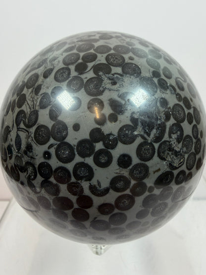 Leopardskin Jasper Sphere. 79mm. Gorgeous And Realistic Leopard Cheetah Patterns. Very Pretty Display Crystal