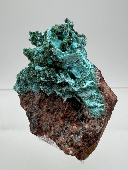 Chrysocolla And Malachite Specimen. High Quality Druzy Chrysocolla From Likasi, Congo. Gorgeous Color Display Crystal.