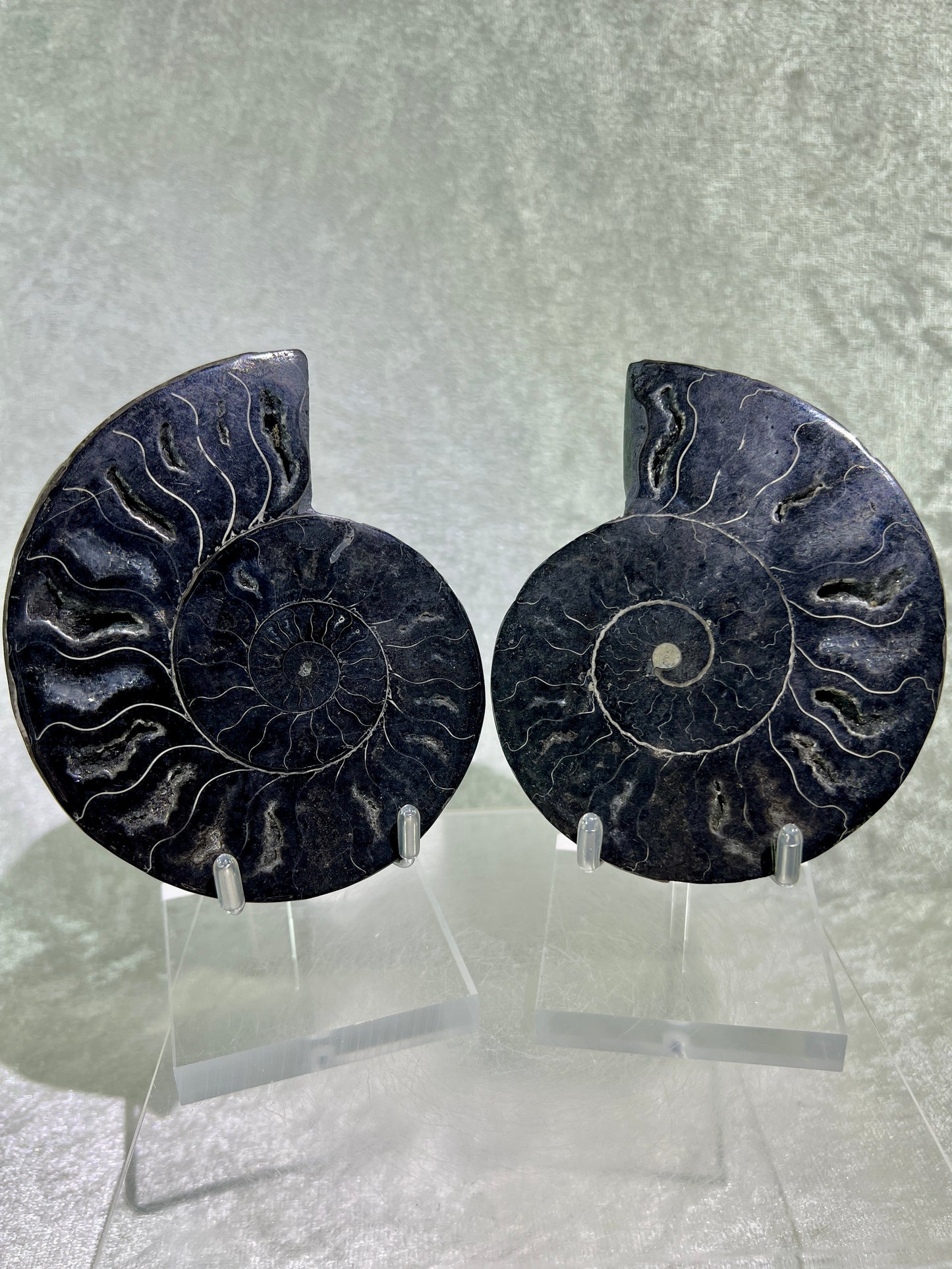 Black Ammonite Display Pair. Gorgeous Rare Fossil Specimen From Madagascar. Split And Polished With Amazing Druzy.