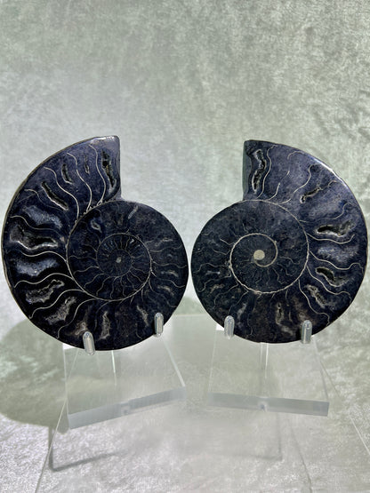 Black Ammonite Display Pair. Gorgeous Rare Fossil Specimen From Madagascar. Split And Polished With Amazing Druzy.