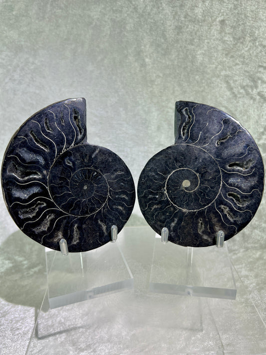 Black Ammonite Display Pair. Gorgeous Rare Fossil Specimen From Madagascar. Split And Polished With Amazing Druzy.