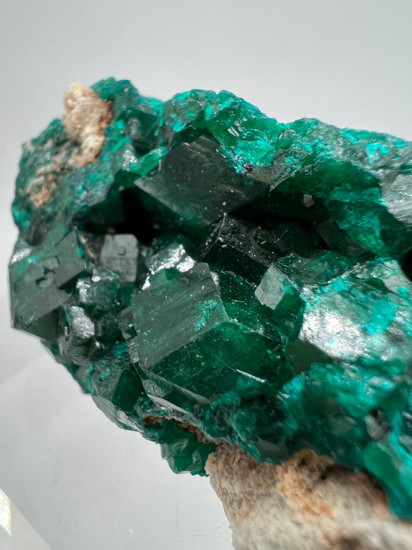 Dioptase Crystal Specimen. Gorgeous Rare Mineral From The Congo. High Quality Display Crystal
